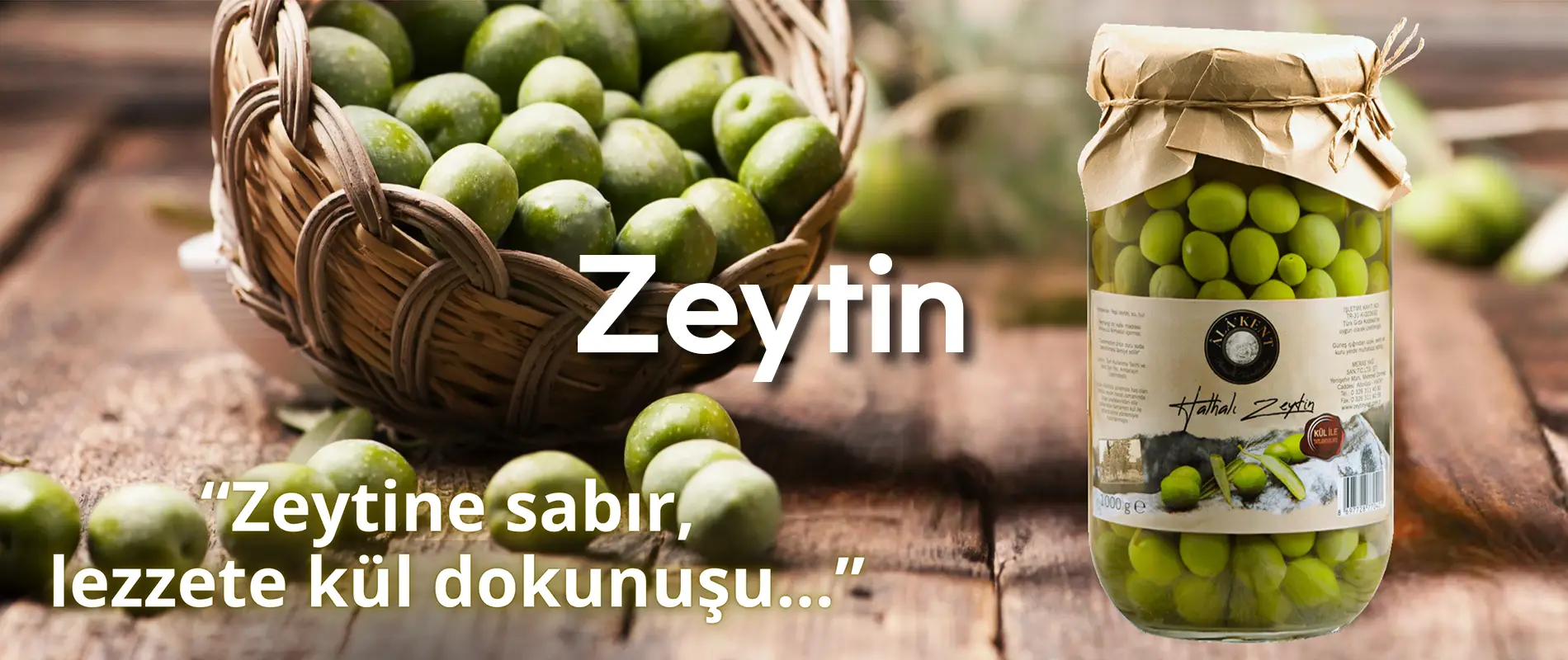 WhatsApp_Image_2025-10-08_at_22.33.00_b40cc177-Kurtarıldı